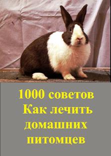 1000_sovetov